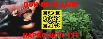 индика Дубна