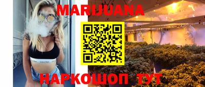 индика Дубна